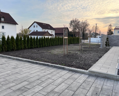 Bäume im Vorgarten